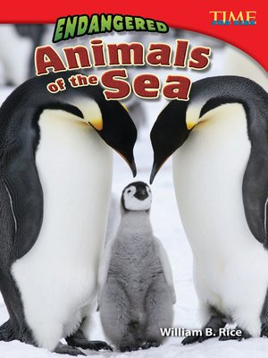 cover image of Endangered Animals of the Sea